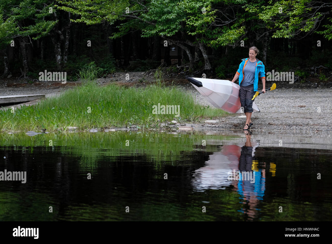 Kajakfahrer mit Kajak zu Wasser Kante, Kejimkujik Lake, Nova Scotia, Kanada Stockfoto