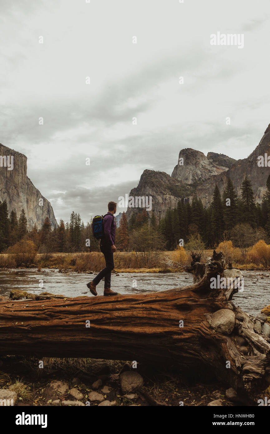 Männliche Wanderer auf gefallenen Baumstamm mit Blick auf Berge, Yosemite-Nationalpark, Kalifornien, USA Stockfoto