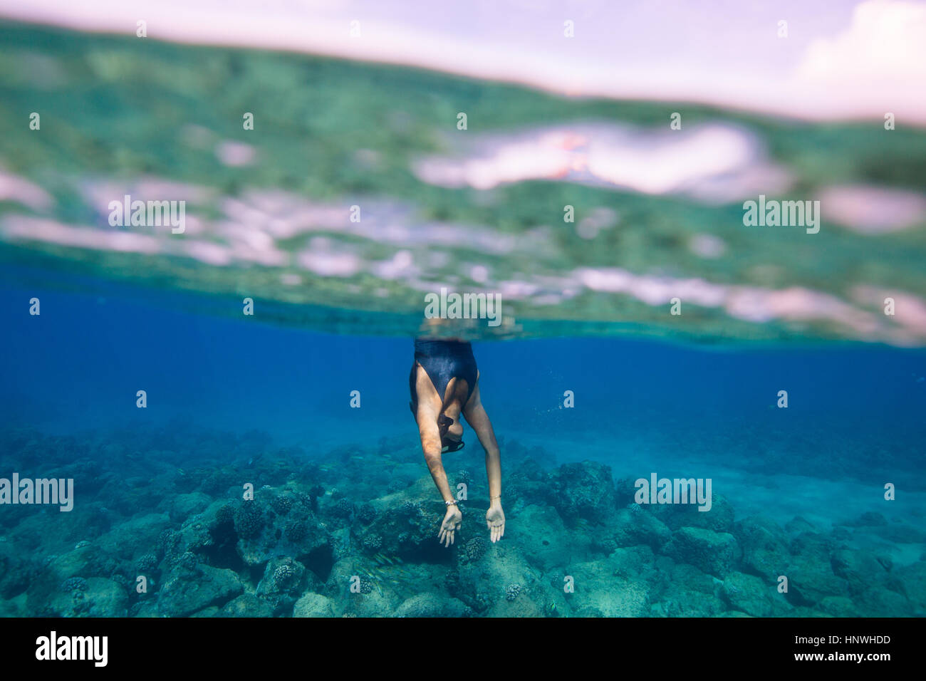 Unterwasser-Blick der Frau ins Wasser, Oahu, Hawaii, USA Stockfoto