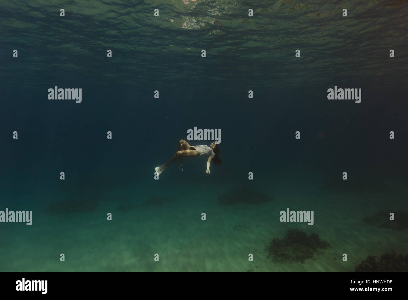 Frau, Schwimmen unter Wasser, Oahu, Hawaii, USA Stockfoto