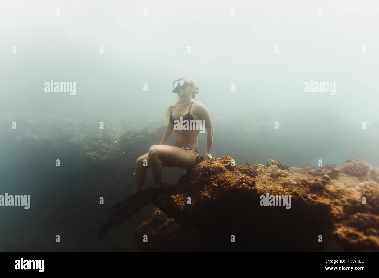 Frau unter Wasser tragen Schnorchel sitzen auf Felsen, Oahu, Hawaii, USA Stockfoto
