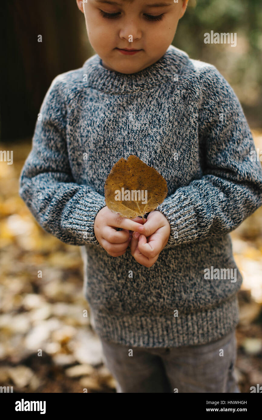 Junge mit braunen Blatt in Wald Stockfoto