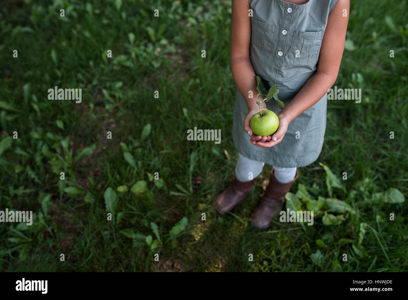 Junges Mädchen hält frischen Apfel, niedrige Abschnitt Stockfoto