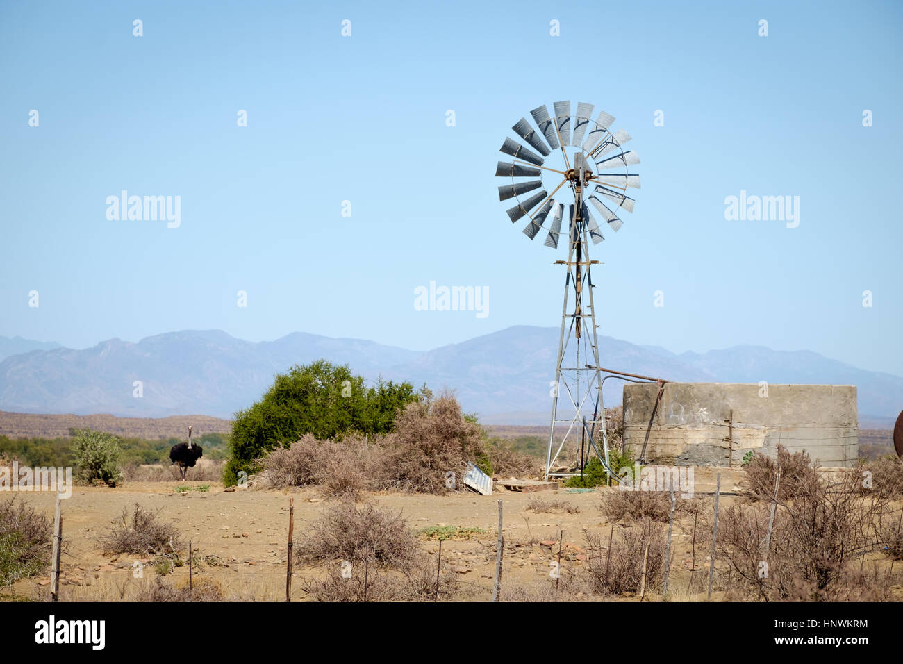 Wind Pumpe in der Kleinen Karoo in der Nähe von Prince Albert, Südafrika mit Strauß Stockfoto