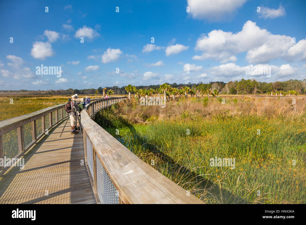 Sweetwater Wetlands Park in Gainesville Florida Stockfoto