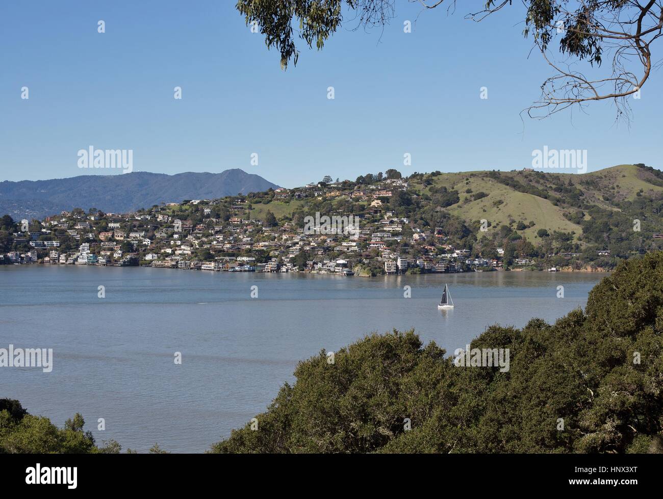 Ein Blick von Tiburon, Caifornia, von Angel Island gesehen. Stockfoto