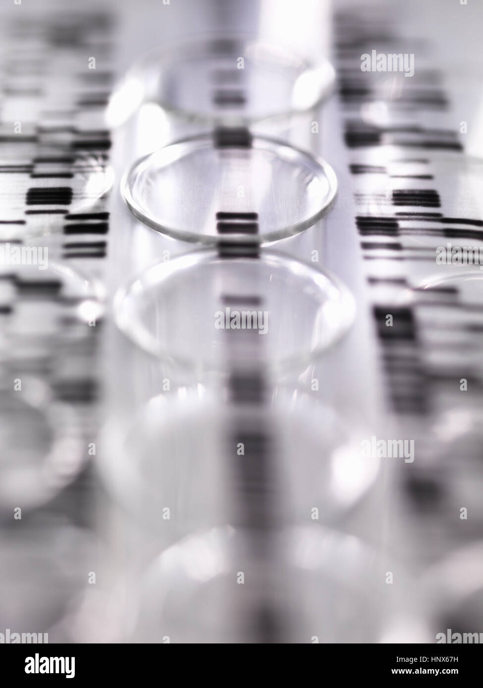 DNA-Autoradiogram gel zur Veranschaulichung Genergebnisse Verlegung auf eine Reihe von Reagenzgläsern im Labor Stockfoto