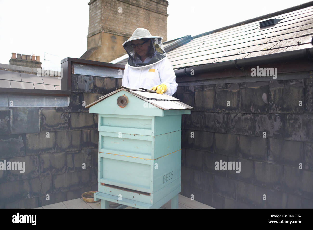 Imker tragen Beesuit, Bienenkorb inspizieren wird vorbereitet Stockfoto