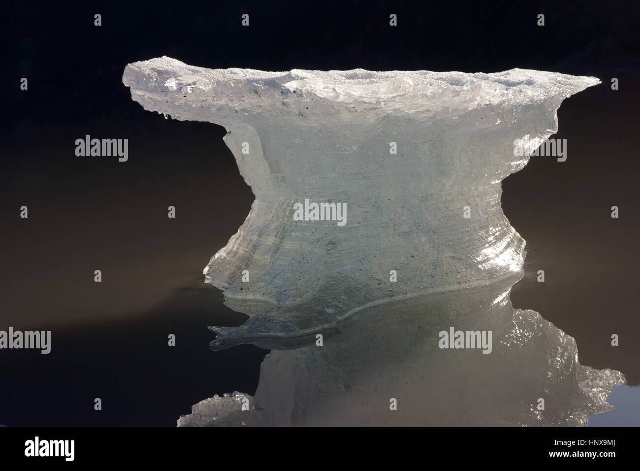 Eisberg, Schwimmen im See, Alaska Stockfoto