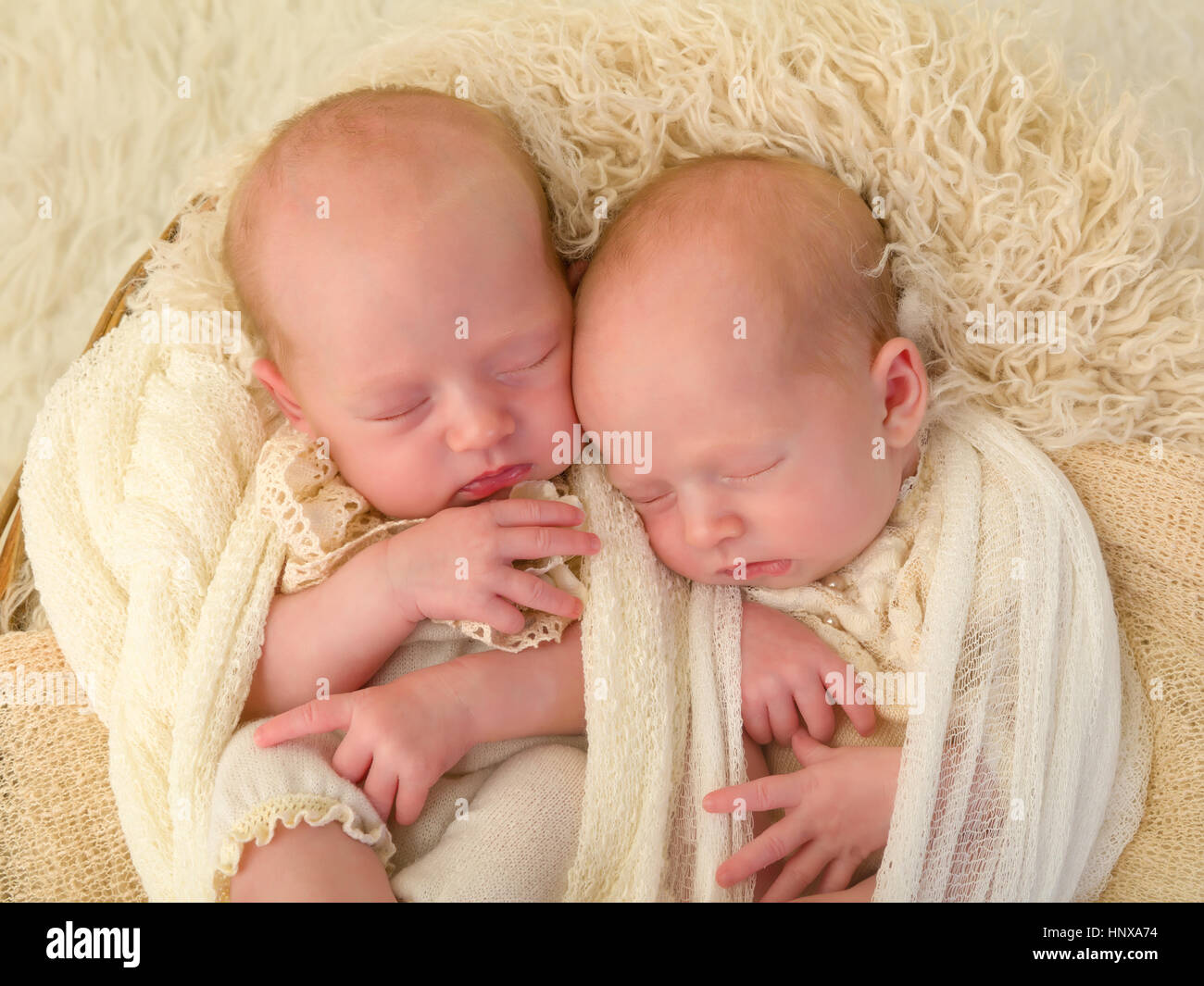 Entzückende Neugeborene eineiigen Zwilling Baby Mädchen schlafen in einem weichen Korb Stockfoto