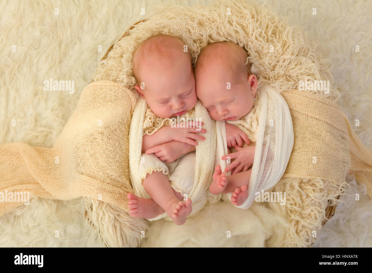 Entzückende Neugeborene eineiigen Zwilling Baby Mädchen schlafen in einem weichen Korb Stockfoto