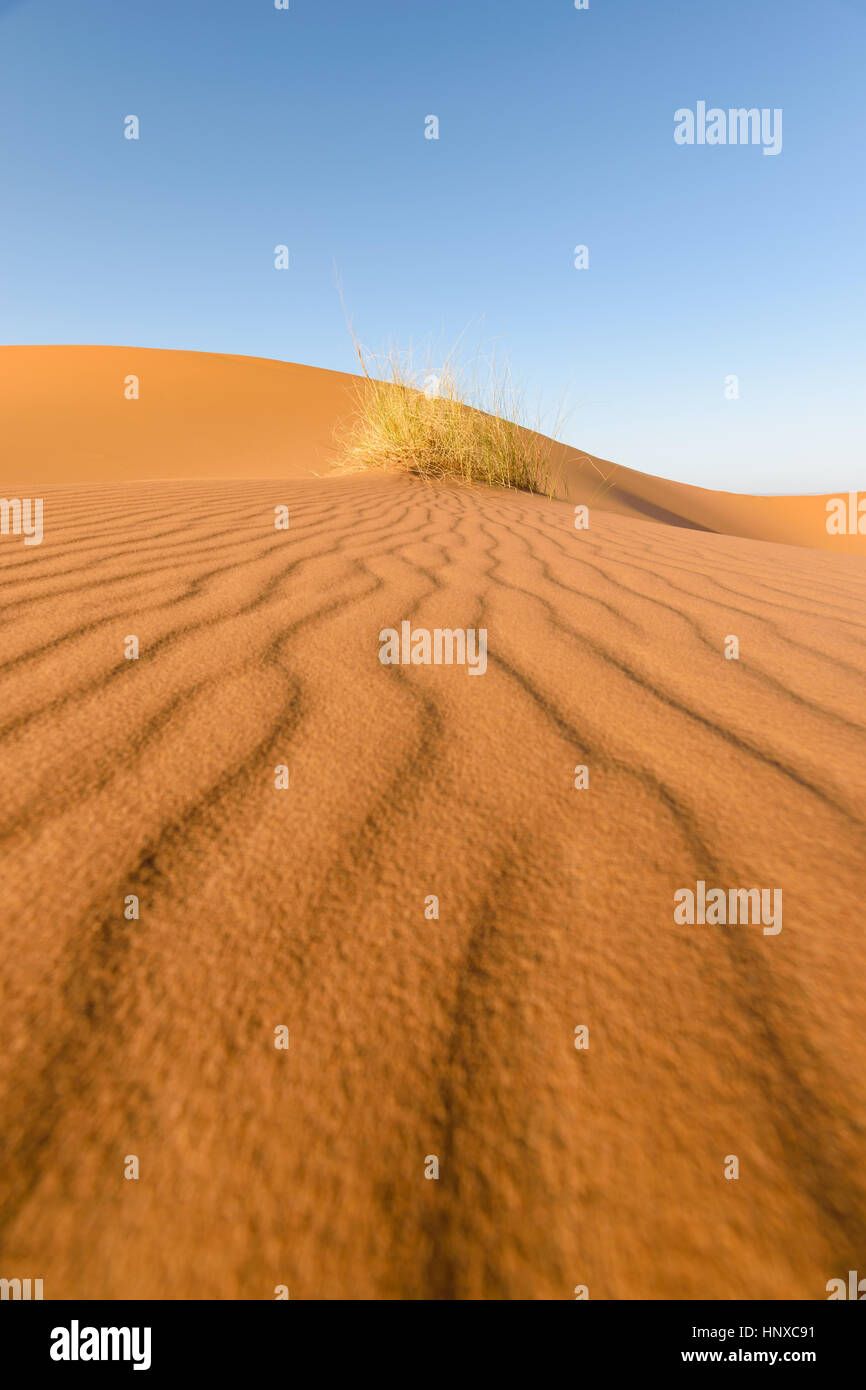 Muster in den Sand, Wüste Erg Chebbi, Marokko Stockfoto