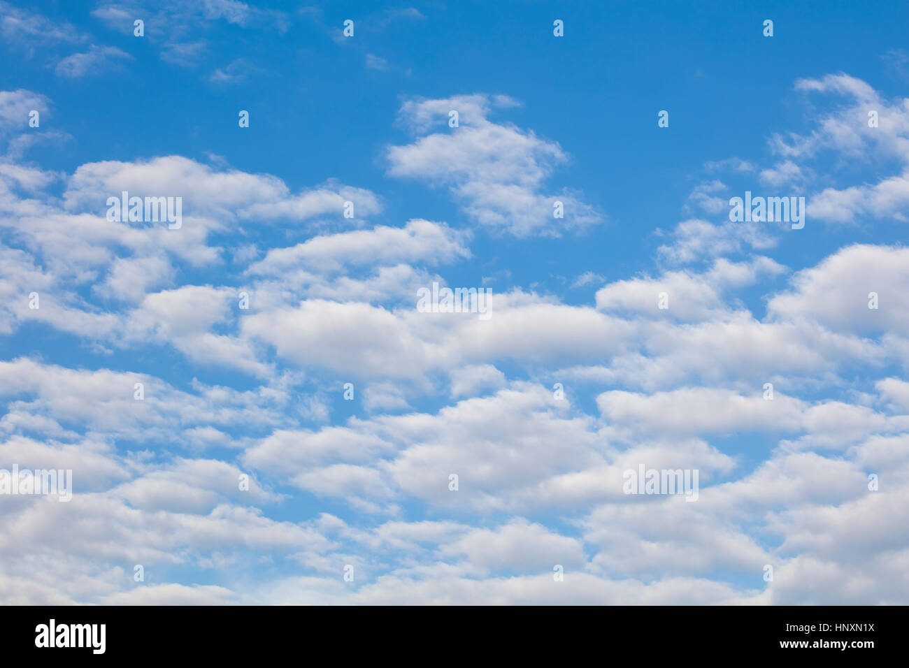 Blauer Himmel mit geschwollenen weiße Wolken über Zentral-Florida Stockfoto