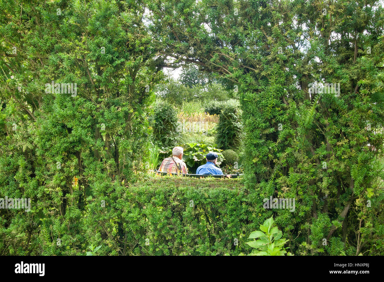 Zwei Senioren auf einer Bank durch eine Hecke in einem Garten (Frankreich). Stockfoto
