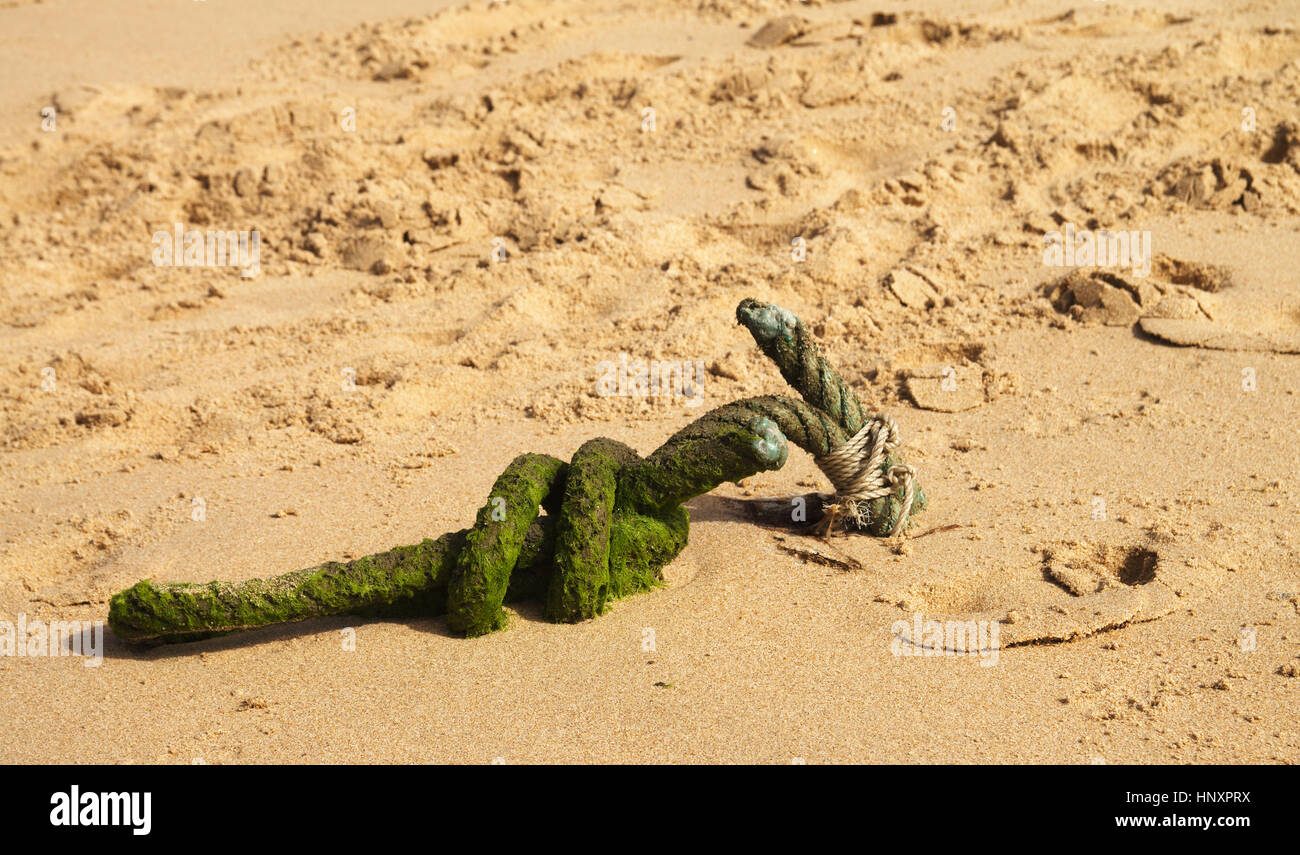 Alte dickes Seil teilweise vergraben im Sand am Strand legen und mit grünem Moos bedeckt. Ein paar Marine Knoten. Stockfoto