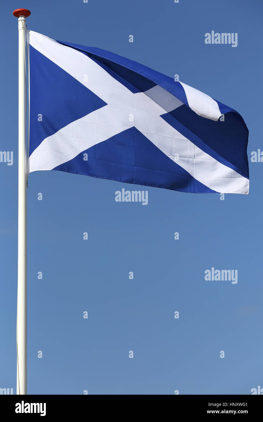 Schottische Flagge im wind Stockfoto