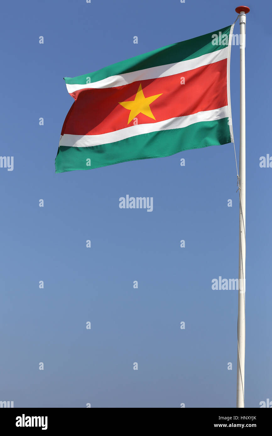 Surinamische Flagge im wind Stockfoto