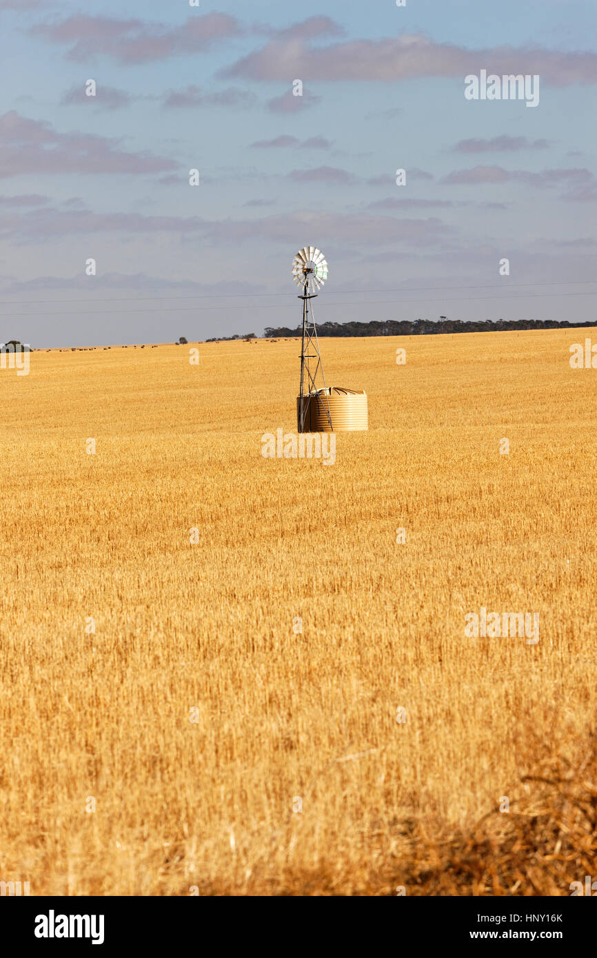 Windmühle auf Ackerland, Wongan Hills, West-Australien. Stockfoto