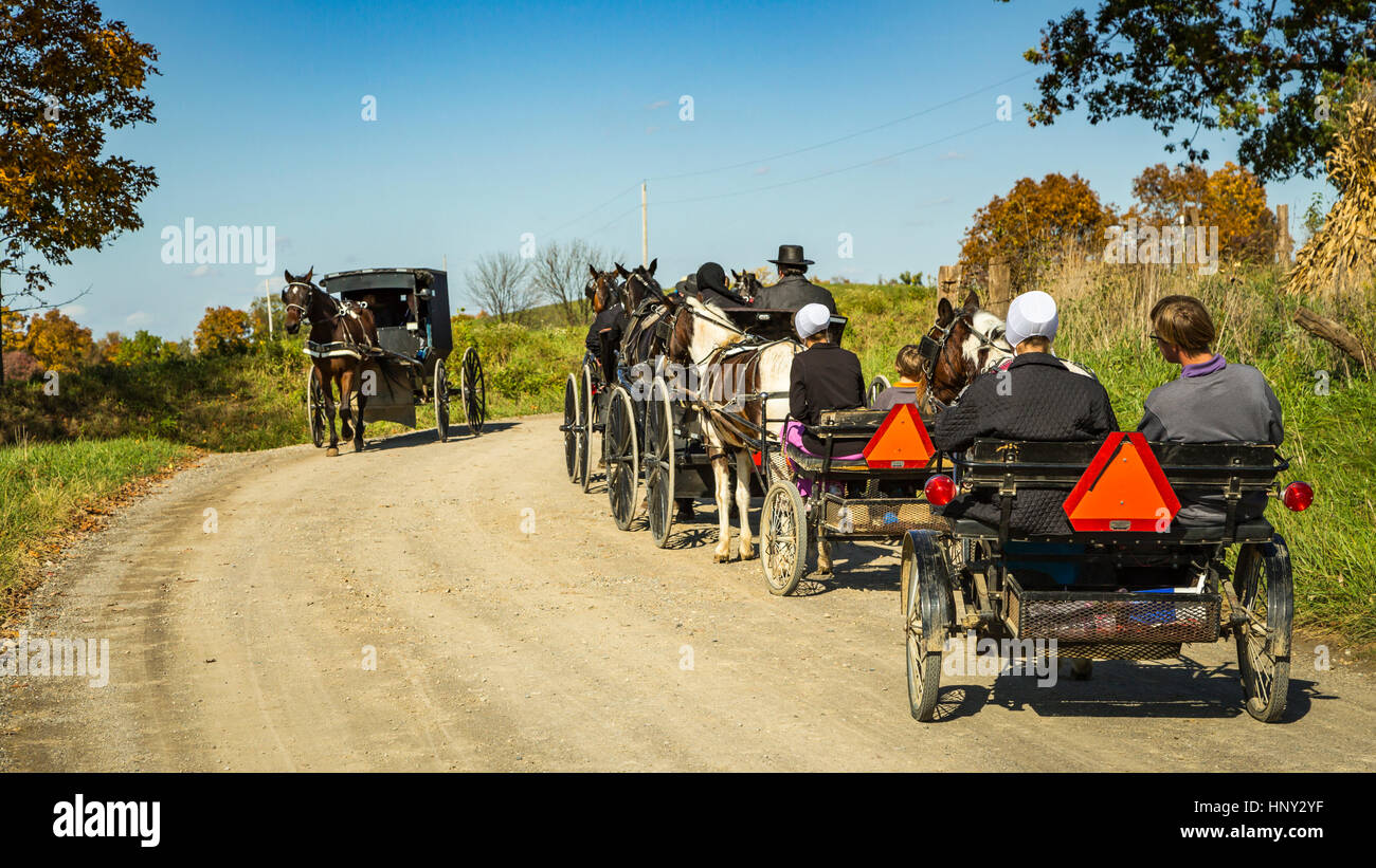 Amische Pferd und Buggys auf den Fahrbahnen Coshocton County, Ohio, USA. Stockfoto