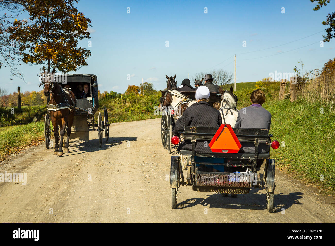 Amische Pferd und Buggys auf den Fahrbahnen Coshocton County, Ohio, USA. Stockfoto