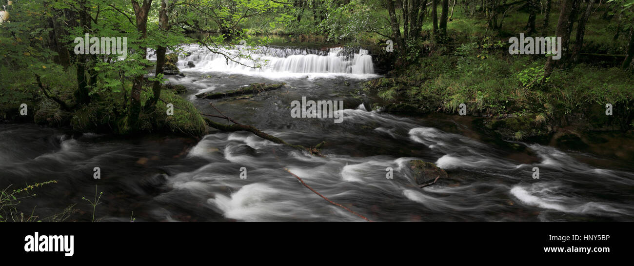 Colwith Force Wasserfälle auf dem Fluß Brathay in der Nähe von Elterwater, wenig Langdale, Nationalpark Lake District, Cumbria, England, UK Stockfoto