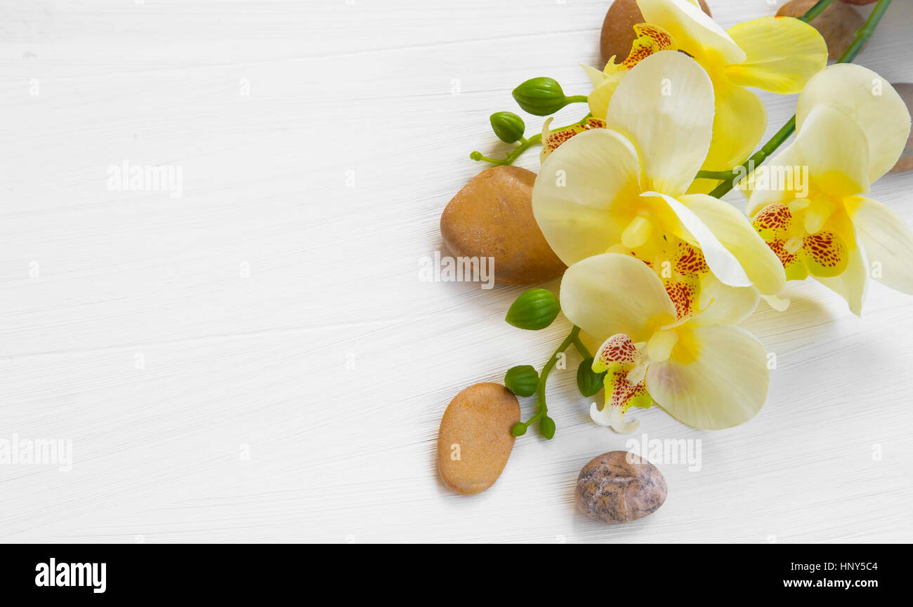 Orchid Spa Einstellung mit Blumen- und Massage Steinen Stockfoto