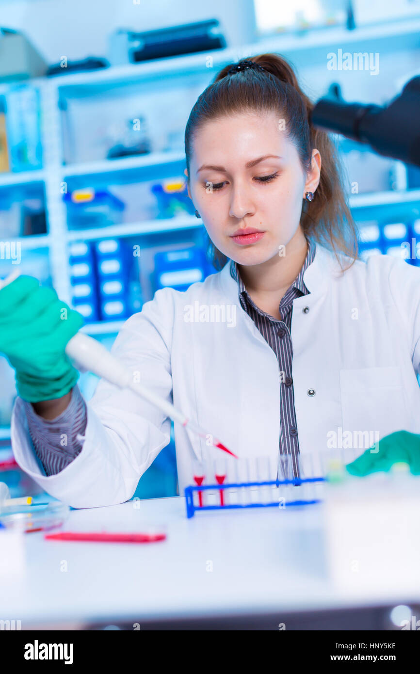 Ein junger Chemiker Reagenzglas mit Flüssigkeit während chemisches Experiment zu halten.  Assistent im Labor mit der Pipette Forschung von Krebsstammzellen.  Weiblich Stockfoto