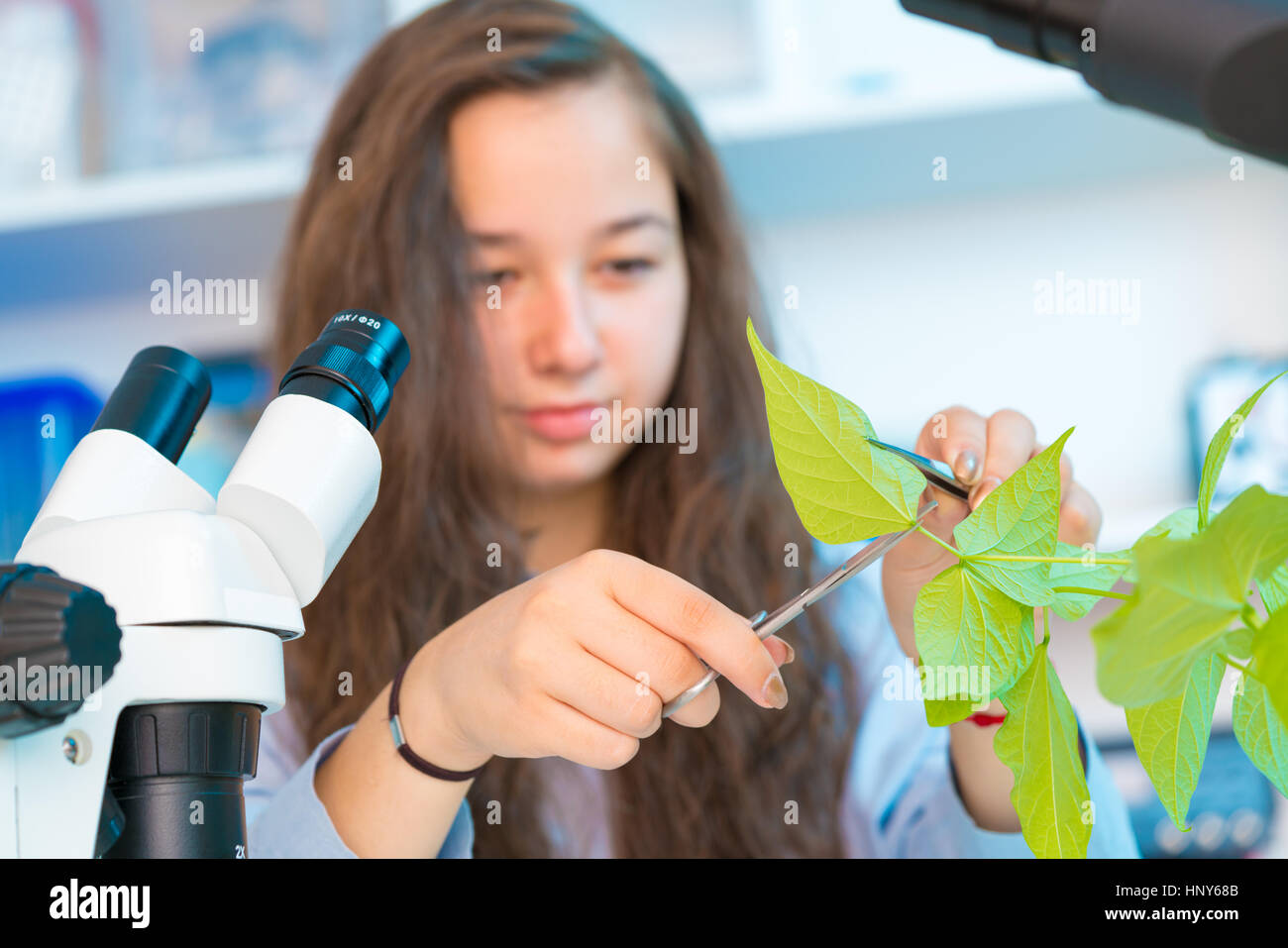 Mädchen in der biologischen Klasse nehmen Experiment mit Grünpflanze Stockfoto