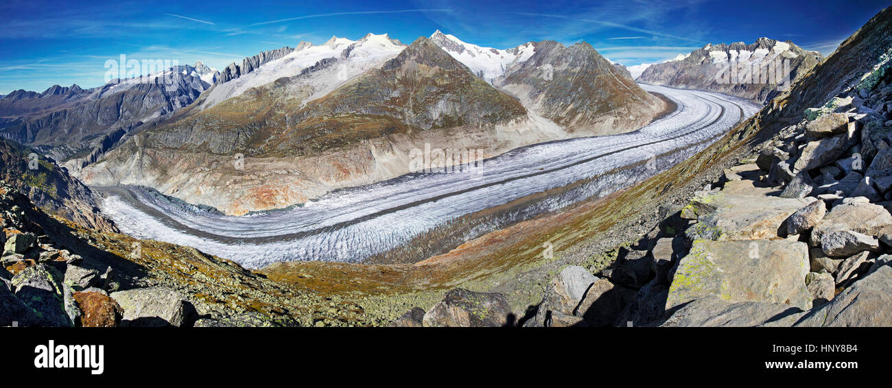 Majestätische Aussicht auf den Aletschgletscher, den größten gracier Alpen und der UNESCO Herritage von Bettmeralp, Wallis, Schweiz, Europa Stockfoto
