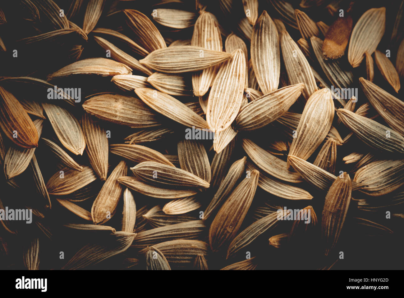 Kürbiskerne italienischen Landschaft langsam essen Stockfoto