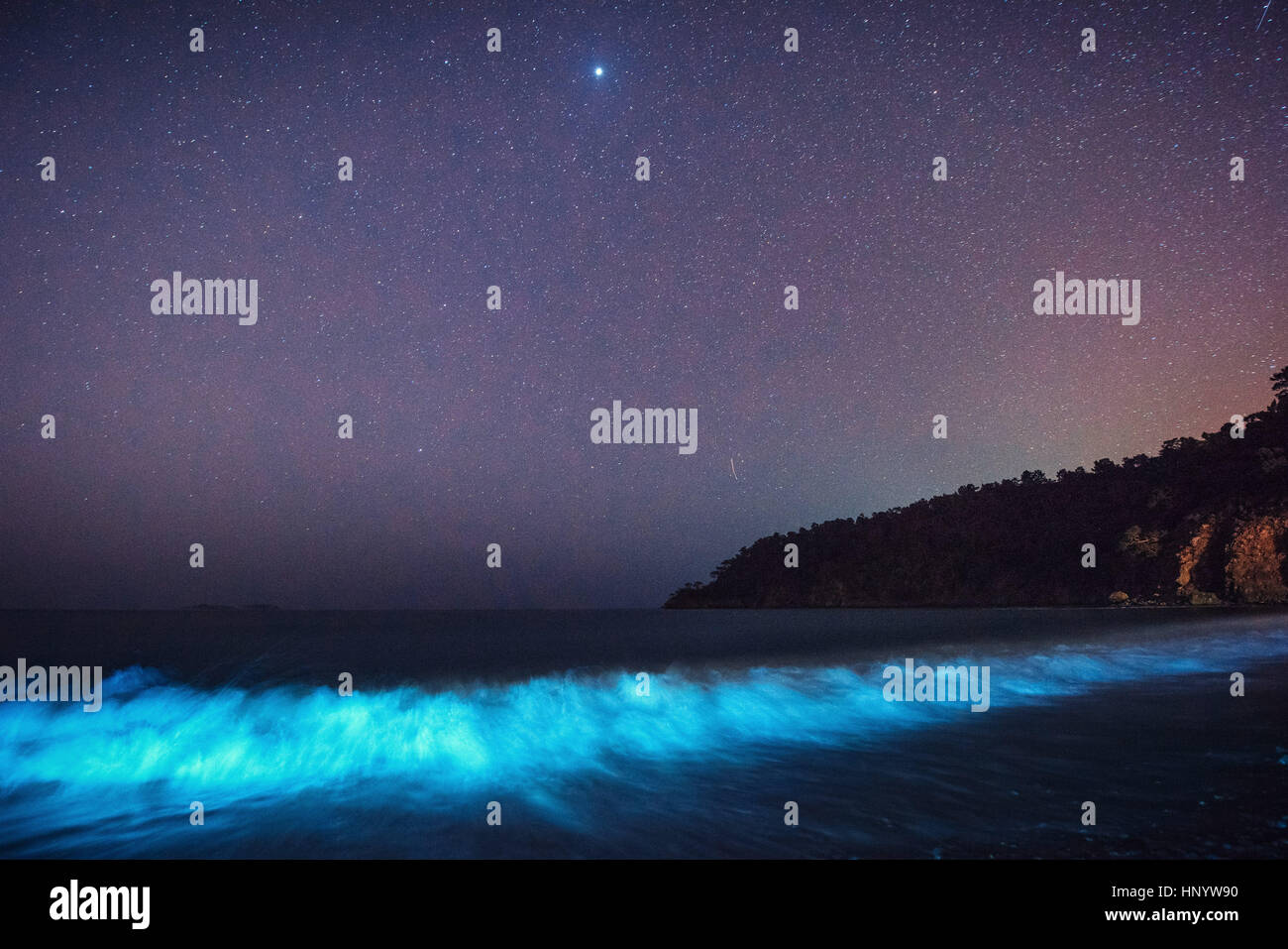 sternenklare Nacht spiegelt sich im Wasser Stockfoto