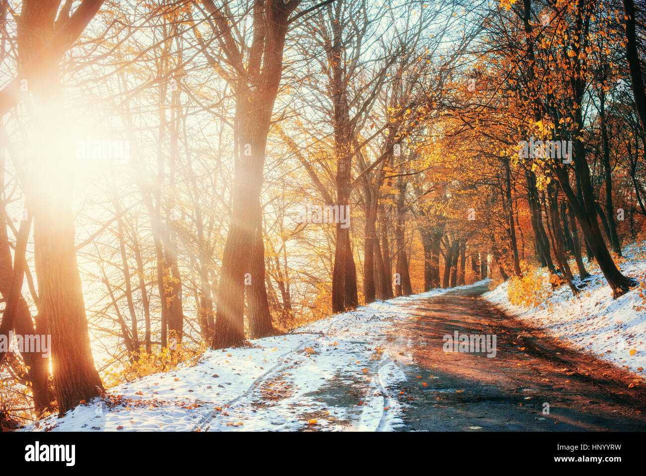 Erster Schnee in den Wald. Beauty-Welt. Road Stockfoto
