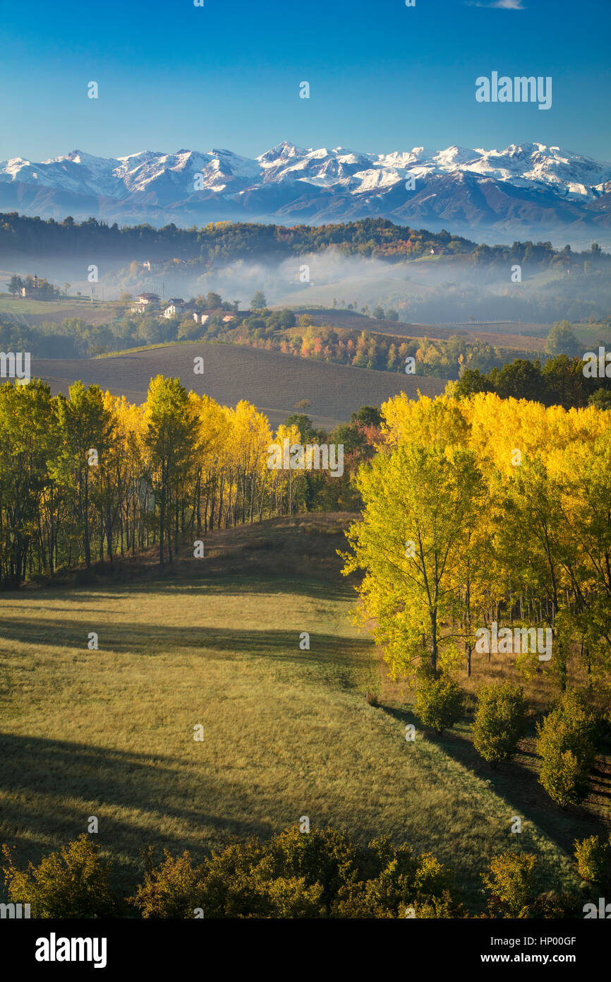 Herbst-Blick über die Po-Ebene bis zu den ligurischen Alpen in der Nähe von Monforte d ' Alba, Piemont, Italien Stockfoto