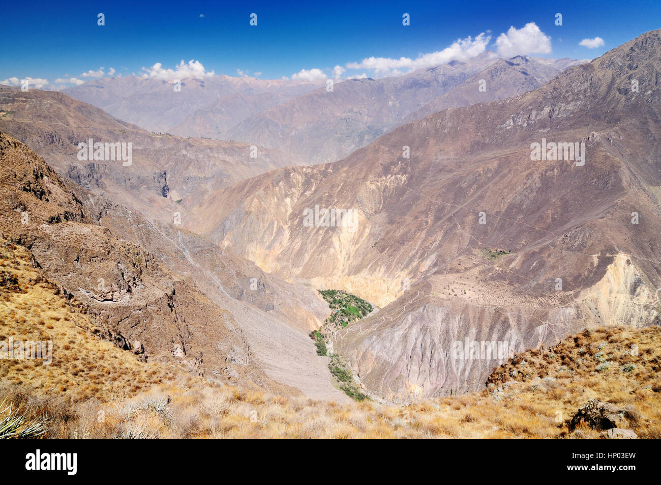 Peru, Colca Canyon. die Secend Wolds tiefste Schlucht 3191 m. Die Schlucht befindet sich inmitten hoher Vulkane und reicht von 1000m bis 3000m wo Leben die Co Stockfoto