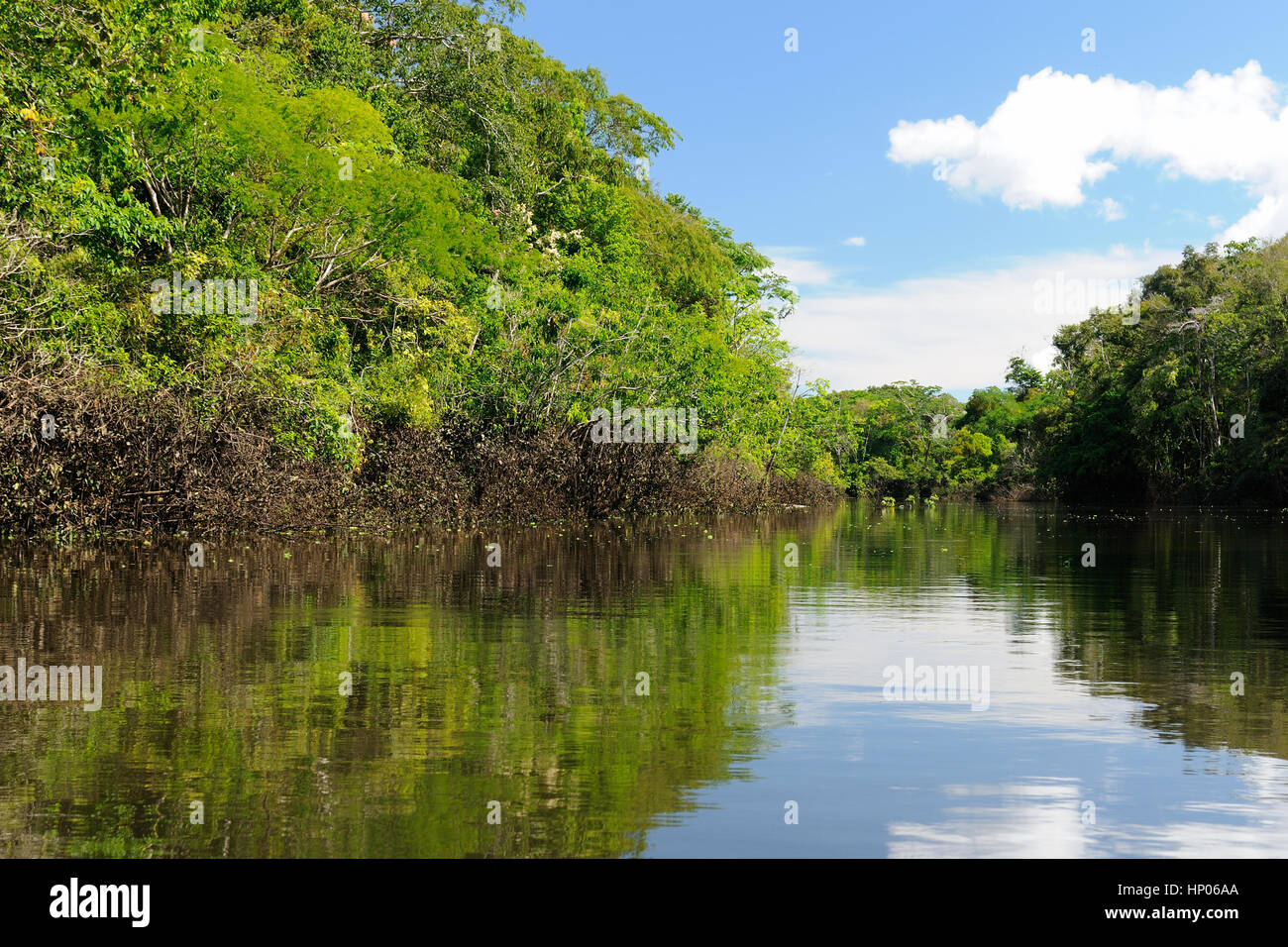 Kolumbien, Landschaft Amazonas. Vorliegenden Amazonas Foto. Stockfoto