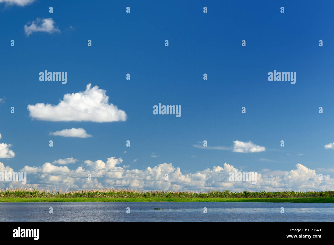 Kolumbien, Landschaft Amazonas. Vorliegenden Amazonas Foto. Stockfoto