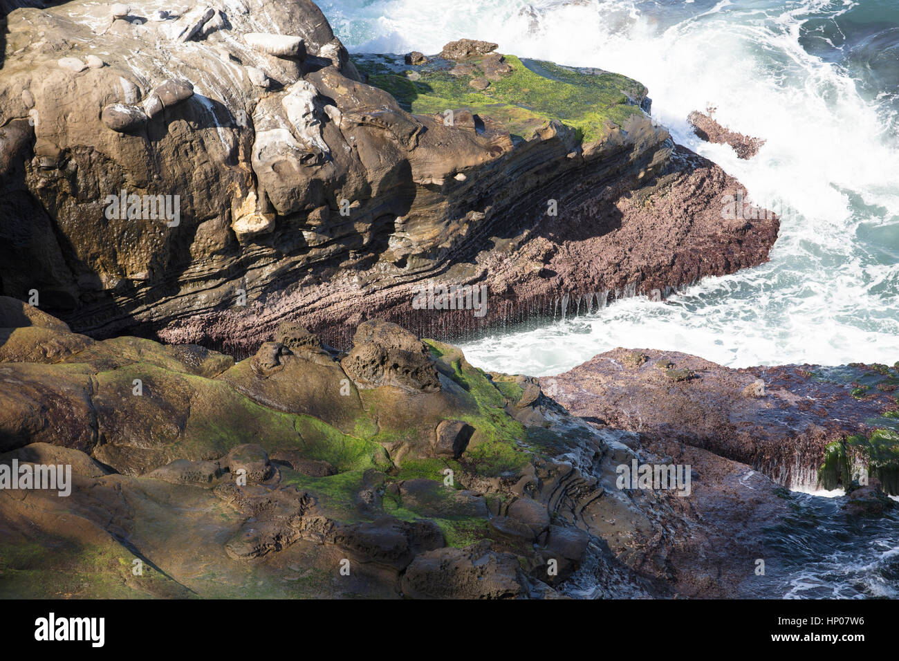 Felsig und moosigen Felsformationen umgeben von Küstengewässern in La Jolla, Kalifornien Stockfoto