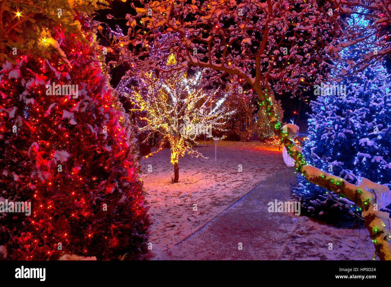 Bunte Weihnachtsbeleuchtung auf Bäumen, glühende Natur Stockfotografie -  Alamy
