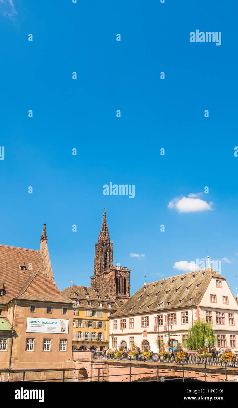 Straßburger Münster, gesehen vom Quai Saint-Nicolas, Museum für Stadtgeschichte auf der rechten Seite, Straßburg, Elsass, Bas-Rhin, Frankreich Stockfoto