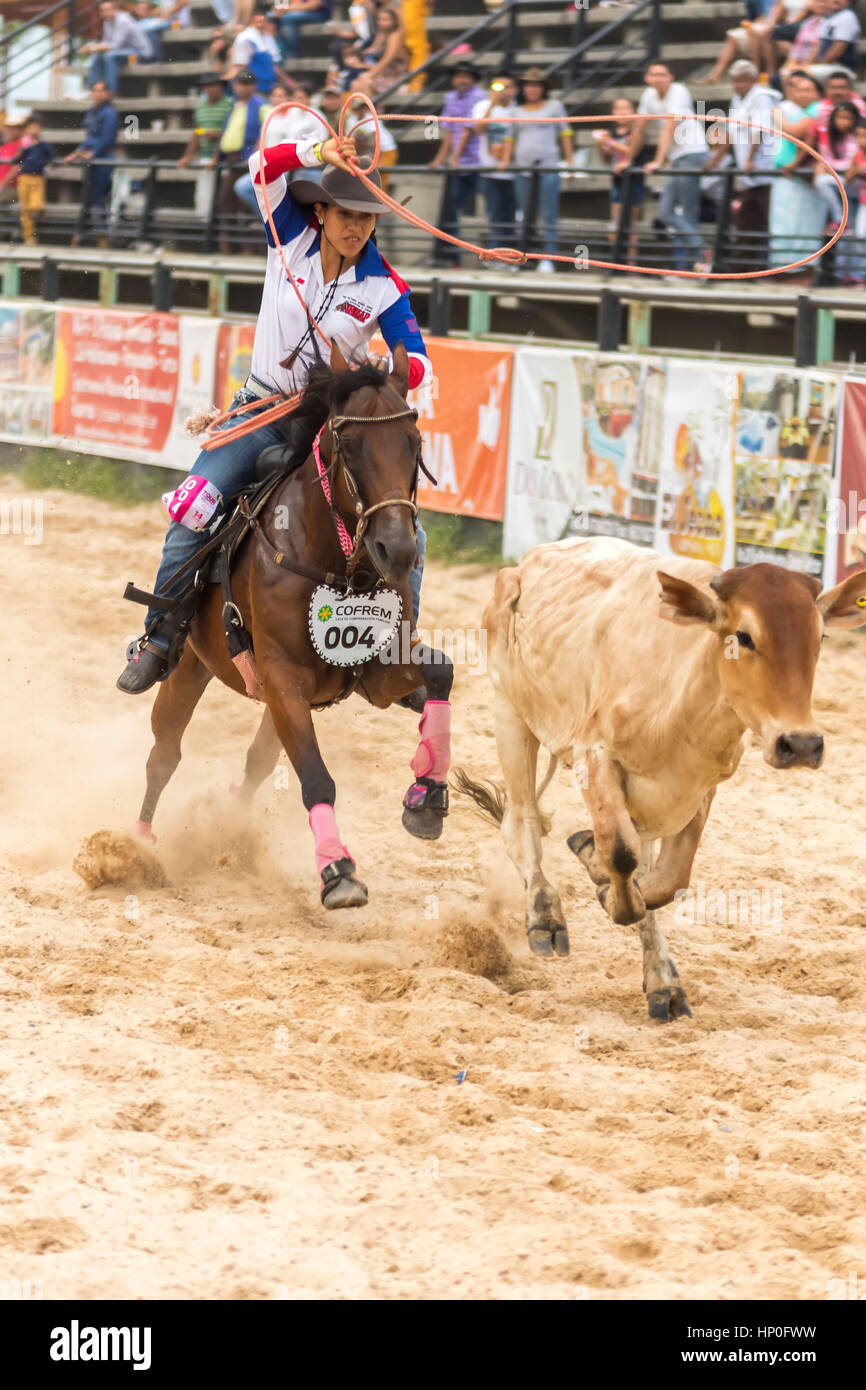 Roping Wettbewerb. Weibliche Rodeo-Wettbewerb in Las Malocas Park gefeiert. Villavicencio, Kolumbien. Stockfoto