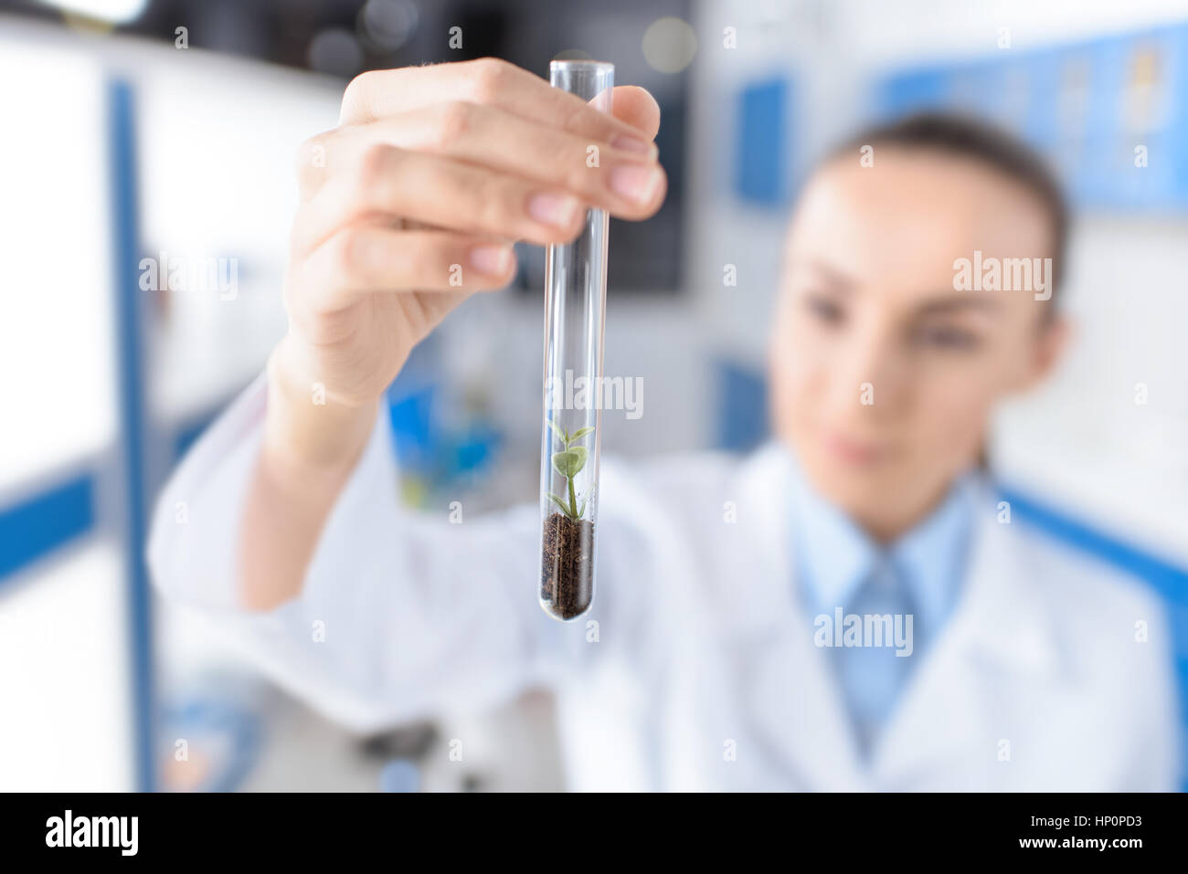 Wissenschaftler halten Labor Rohr mit Pflanze in der hand Stockfoto
