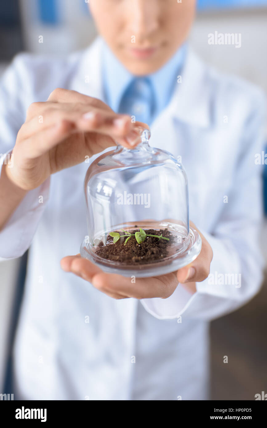 Wissenschaftler halten Behälter mit Pflanzen am Boden Stockfoto
