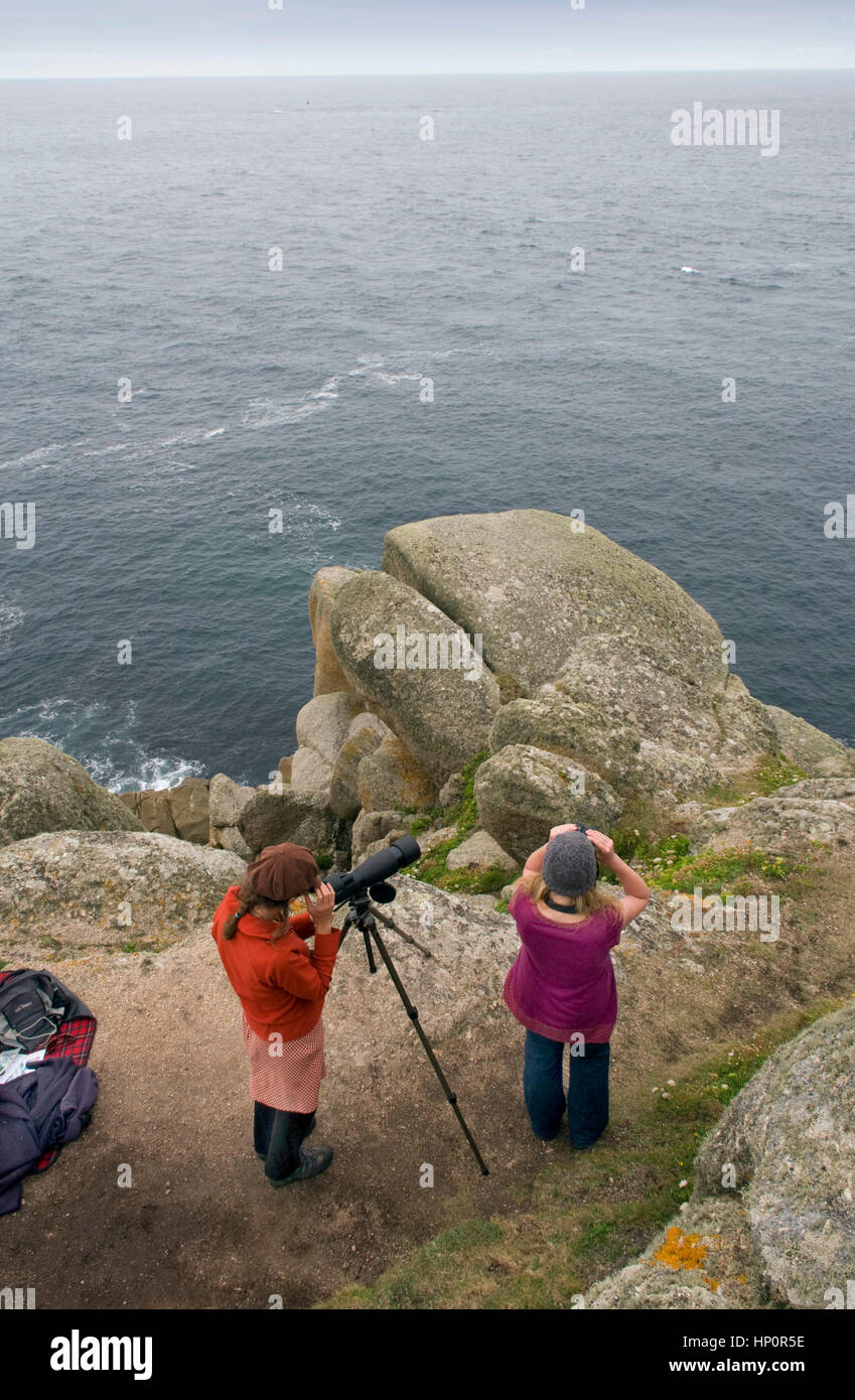 SeaQuest Basking Shark Project, Cornwall Wildlife Trust Freiwillige auf den Klippen in der Nähe von Lands End mit Clair Rodger (Wollmütze) Stockfoto