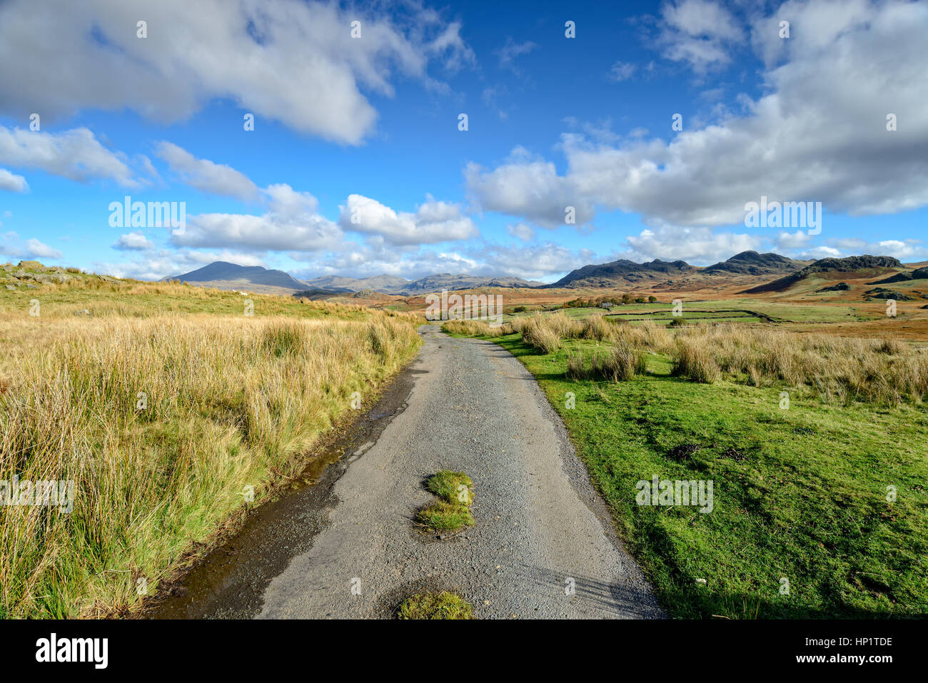 Einen Feldweg durch Birker fiel im Lake District in Cumbria, Blick auf die Berge von grün wie Stockfoto