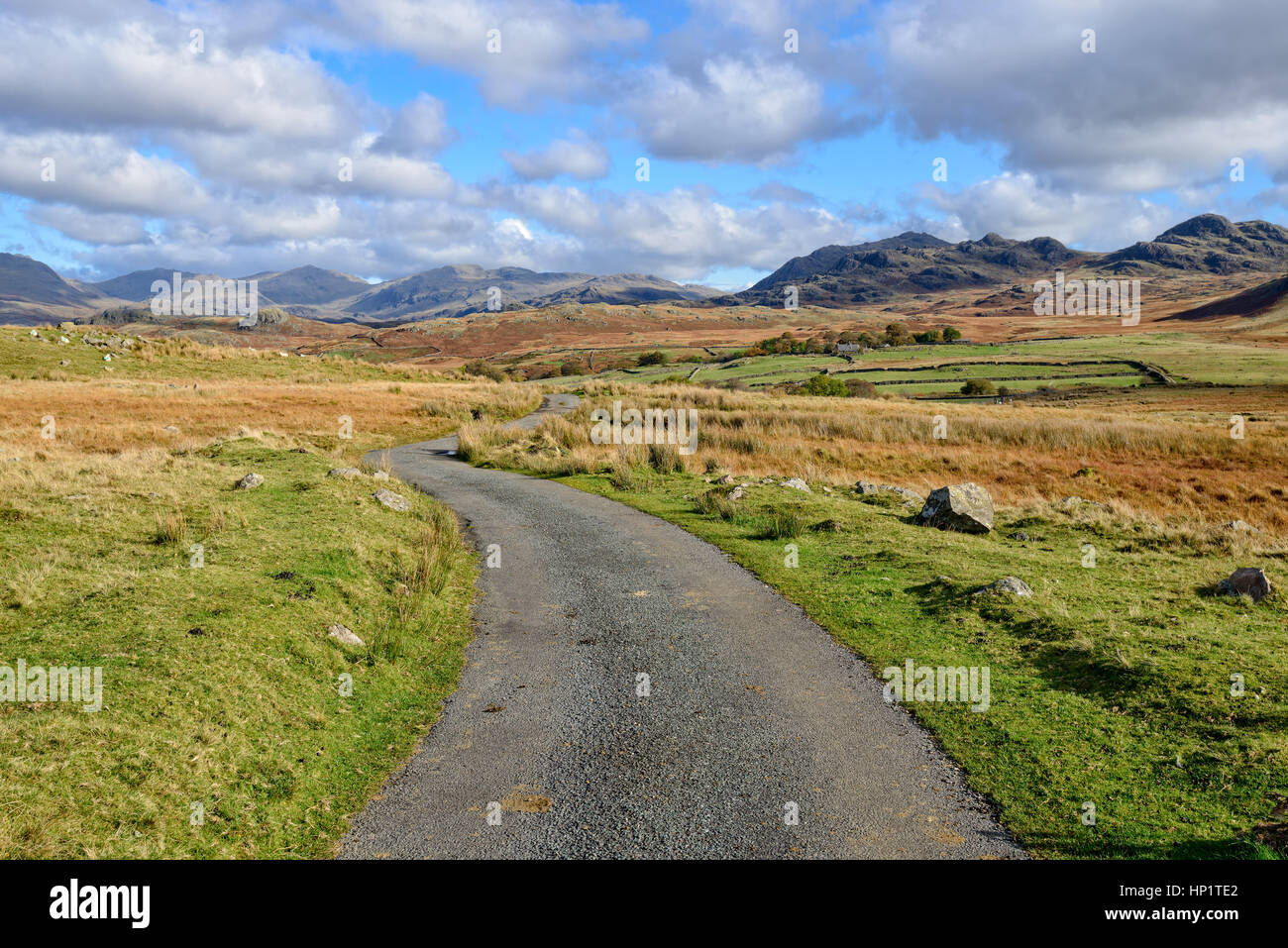 Eine kurvenreiche Landstraße führt zu Bergen auf Birker fiel im Lake District National Park in Cumbria Stockfoto