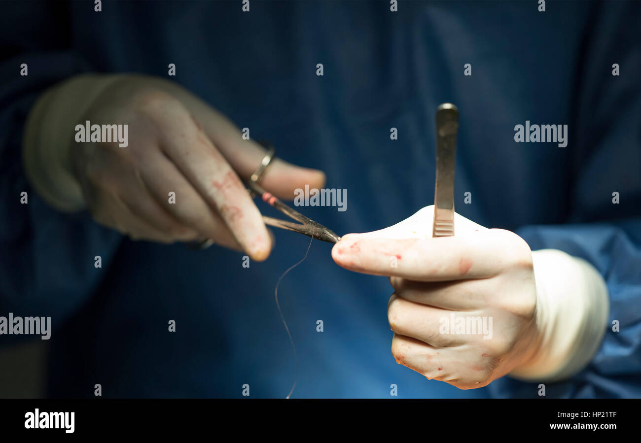 Operateurs Händen mit einer Nadel und Faden und einem Nadelhalter Stockfoto