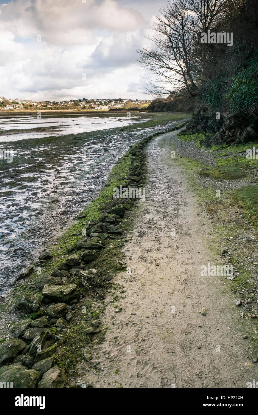 Ein Fußweg neben einem Zaum weg in der Nähe der Fluss Gannel. newquay; England; uk. Stockfoto