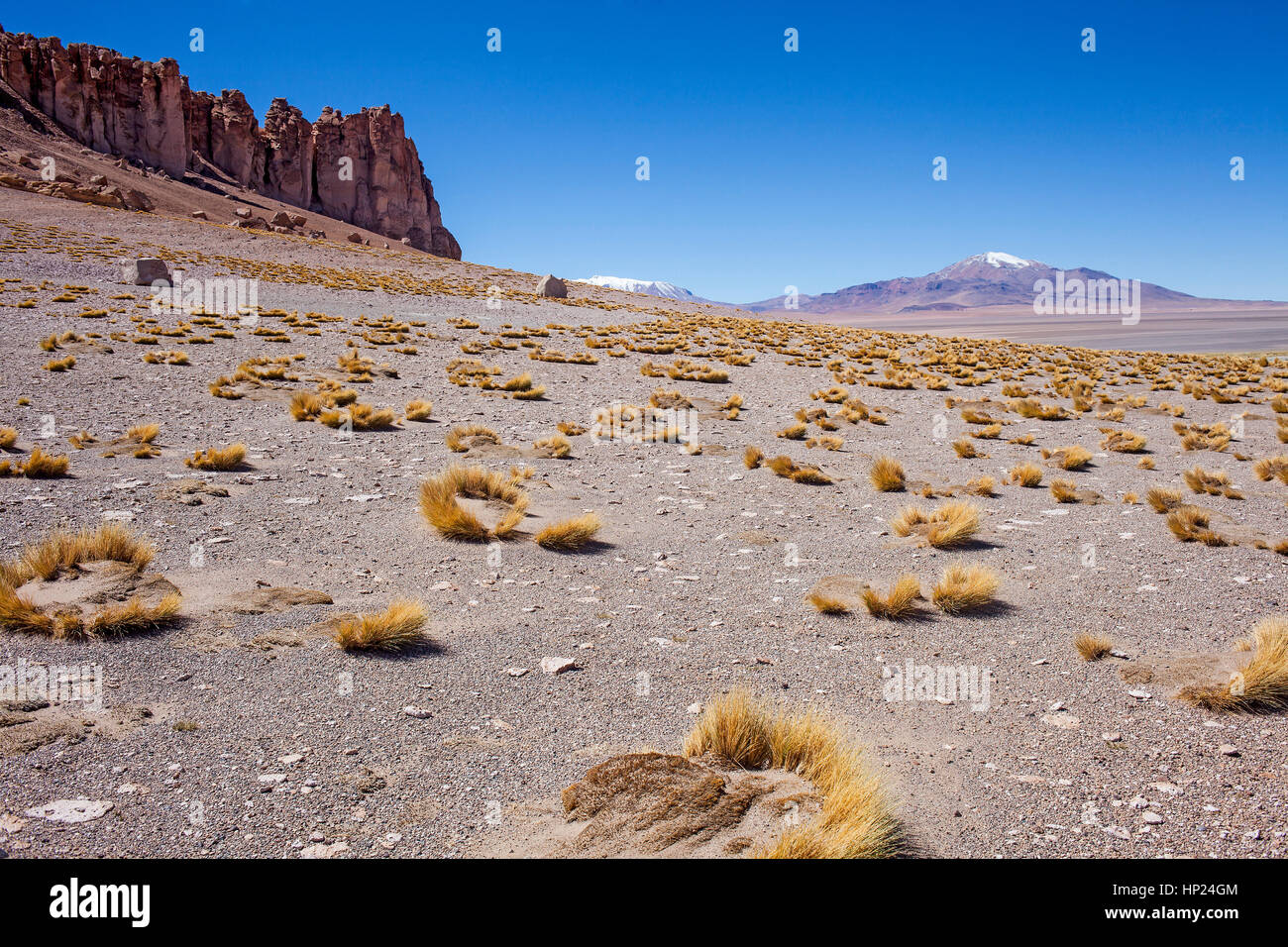 Anden am rechten und am linken Las Catedrales (Kathedralen) Rock-Formation, in der Nähe von Salar de Tara, Altiplano, Puna, Atacama-Wüste. Region de ein Stockfoto