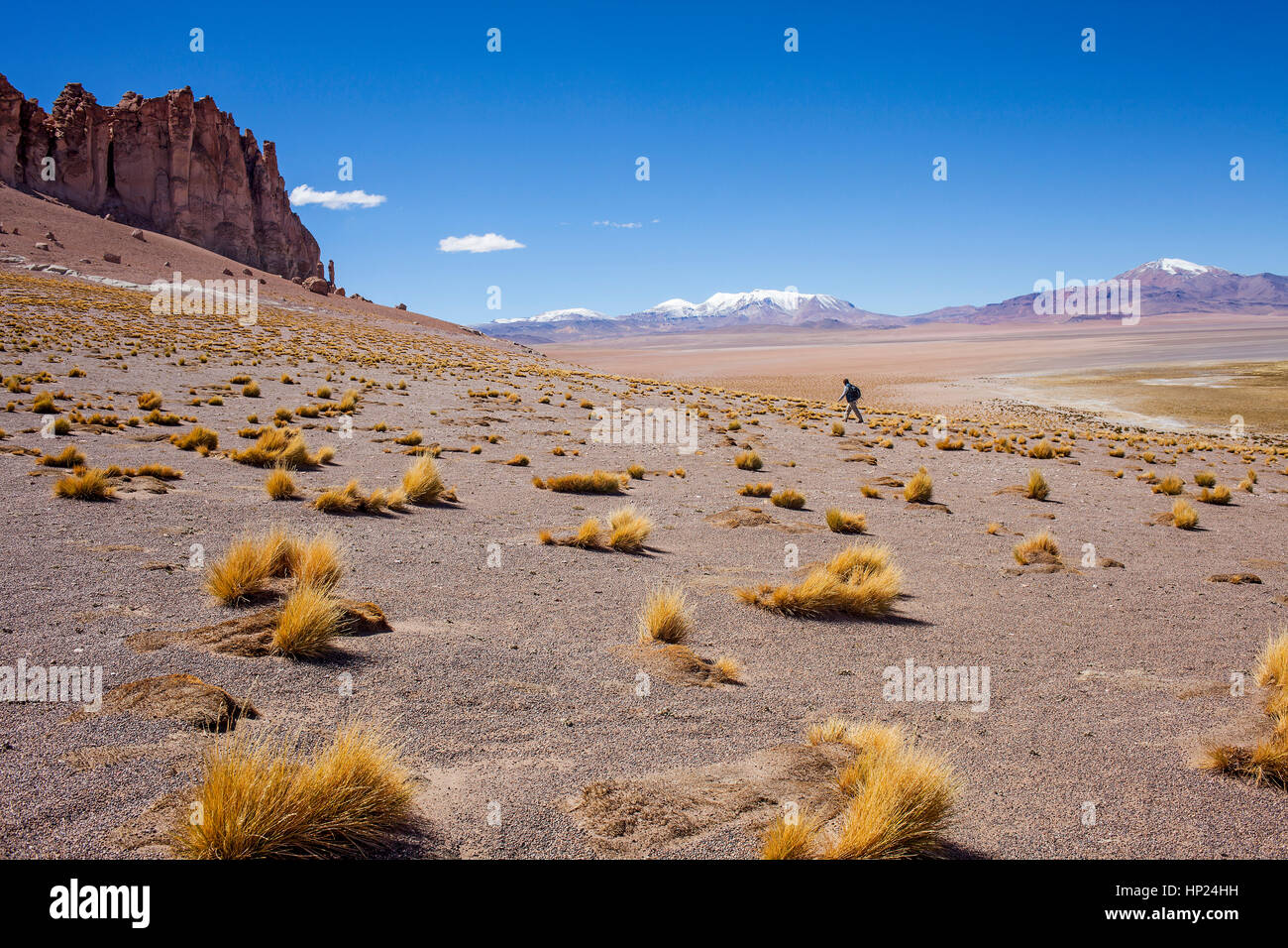 Anden am rechten und am linken Las Catedrales (Kathedralen) Rock-Formation, in der Nähe von Salar de Tara, Altiplano, Puna, Atacama-Wüste. Region de A Stockfoto