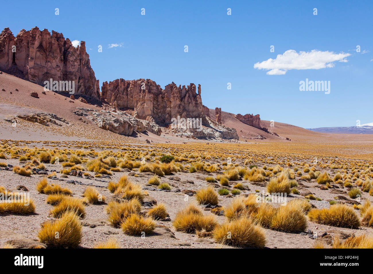 Am links Las Catedrales (Kathedralen) Rock-Formation, in der Nähe von Salar de Tara, Altiplano, Puna, Atacama-Wüste. Region de Antofagasta. Chile Stockfoto